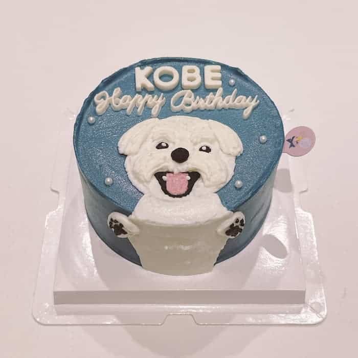 เควิน ดีรมรัมย์ avatar